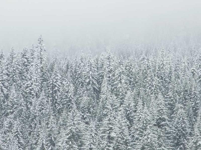 客户管理系统界面展示